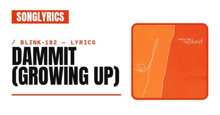 182 - Dammit Lyrics Meaning