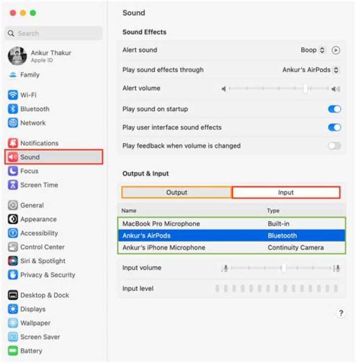 Audio Settings on an Apple Mac Computer