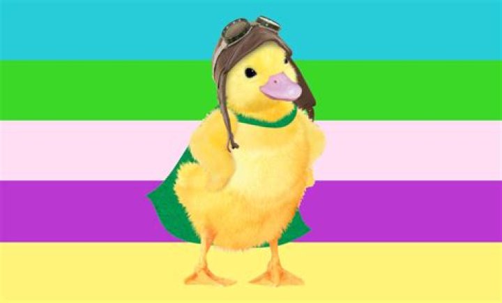 Baby squirrel lyrics