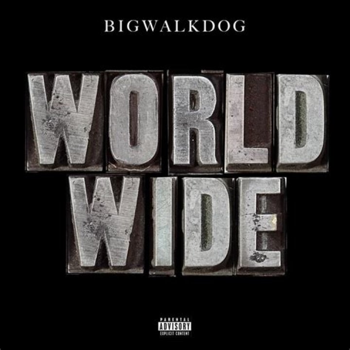 Bigwalkdog lyrics