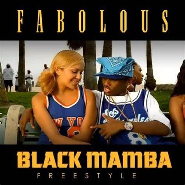 Black mamba (freestyle) lyrics
