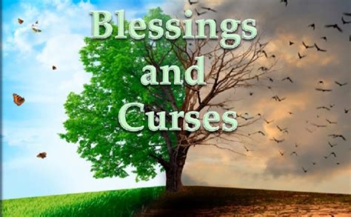 Blessing or a curse lyrics