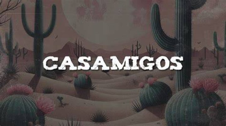 Casamigos lyrics