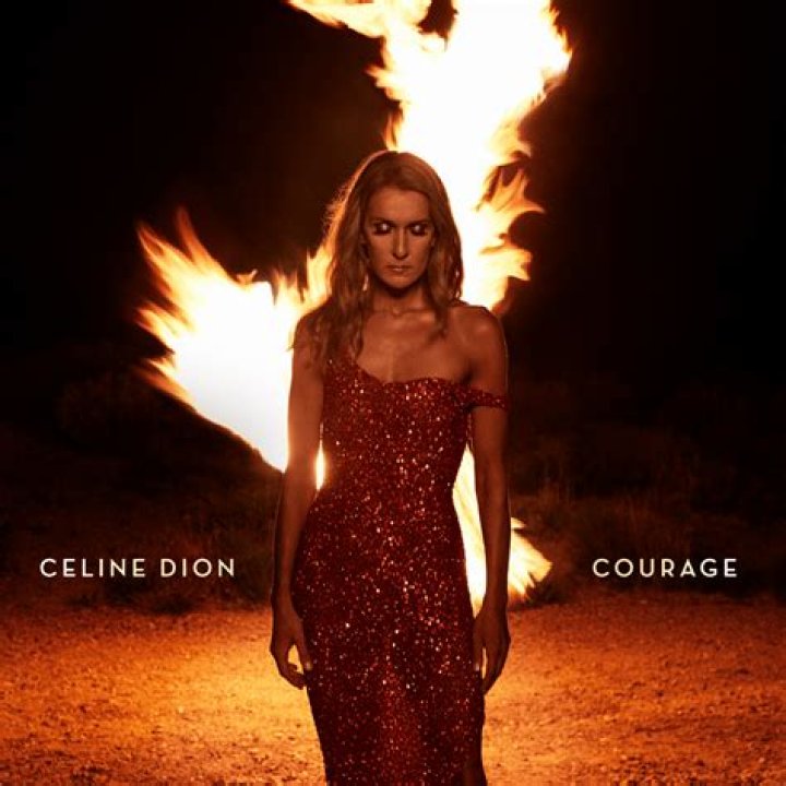 Celine dion courage lyrics