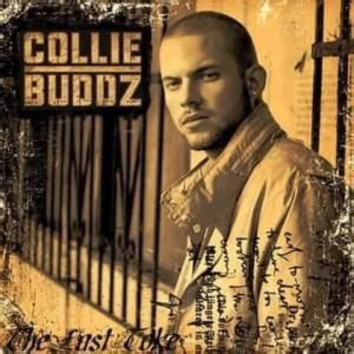 Collie buddz lyrics