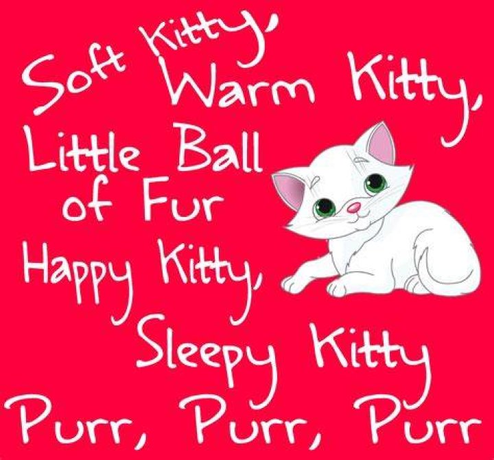Come come kitty kitty lyrics
