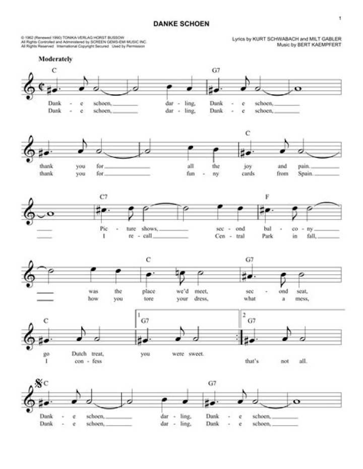 Danke schoen lyrics