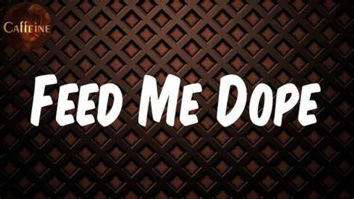 Future Feed Me Dope Lyrics