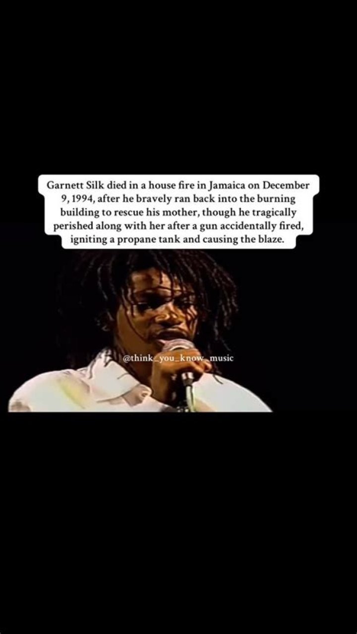 Garnett Silk Facts