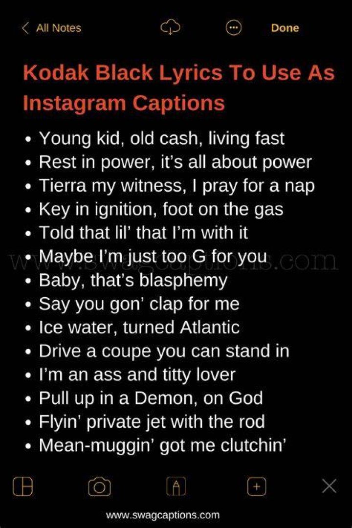 Kodak black using imagery lyrics