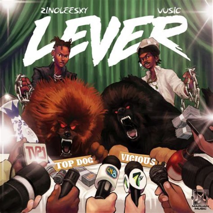 Lever by vusic lyrics