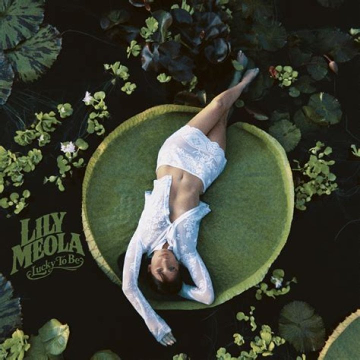 Lily white hands lyrics