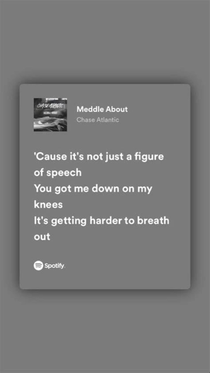 Meddle about lyrics