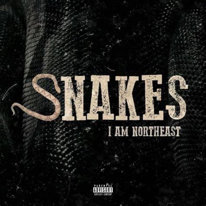 Niggas be snakes lyrics