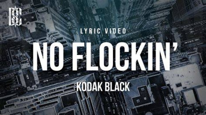No flockin lyrics