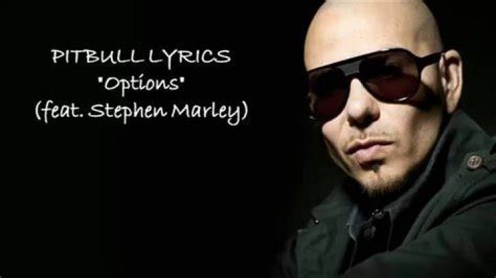 Pitbull options lyrics
