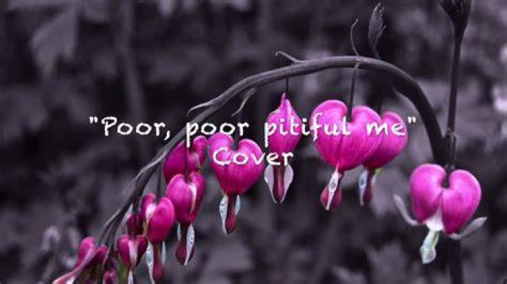 Poor poor pitiful me lyrics