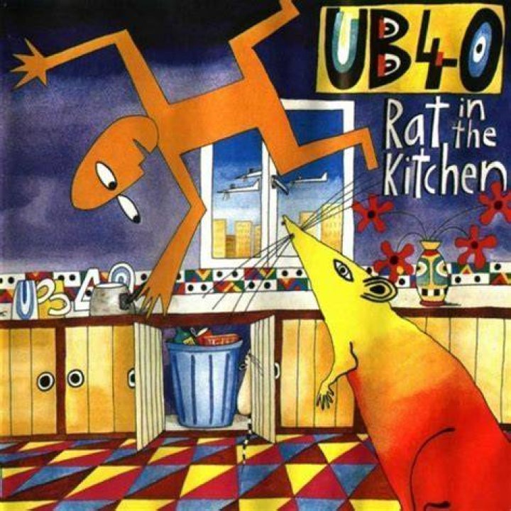 Rat in mi kitchen lyrics