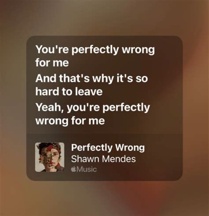 Shawn Mendes Perfectly Wrong Lyrics