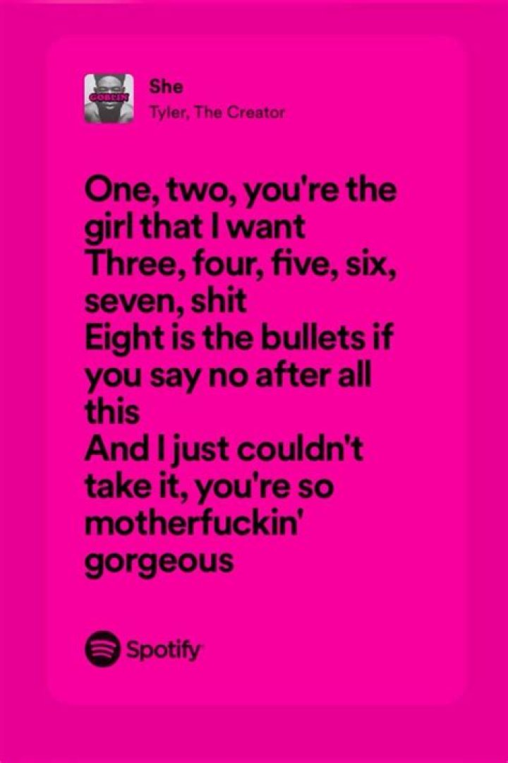 She tyler the creater lyrics