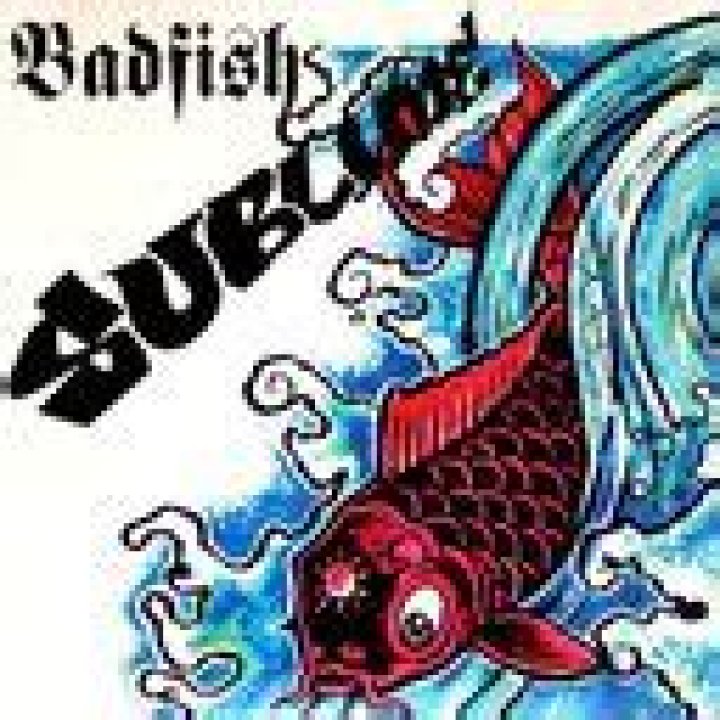 Sublime - Badfish Lyrics Meaning