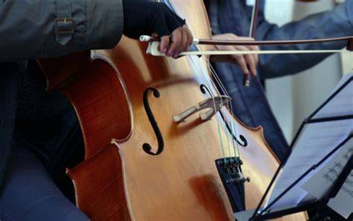 Tips For Buying A Cello – A Complete Guide for Beginners